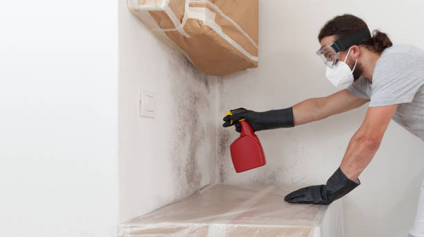 Professional Bathroom Mold Removal technician working in Poulsbo, WA
